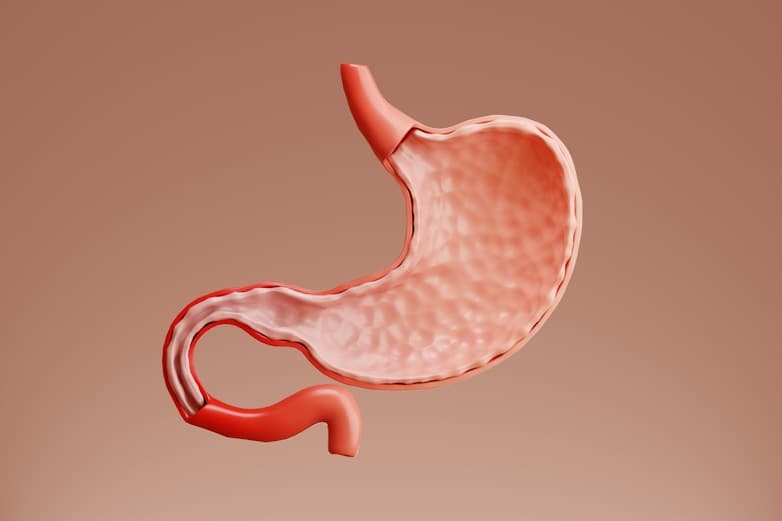 Metabolic