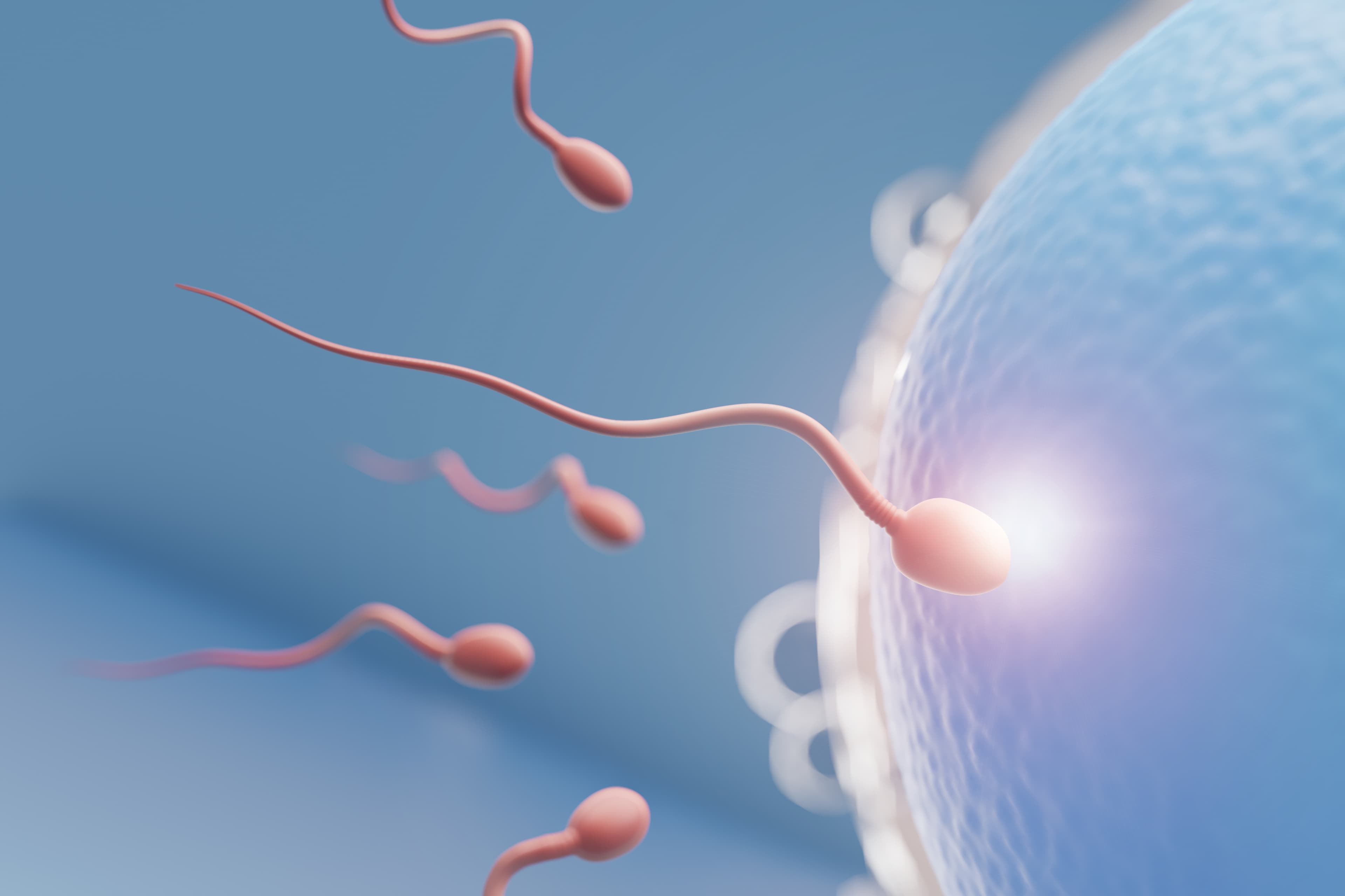 Infertility