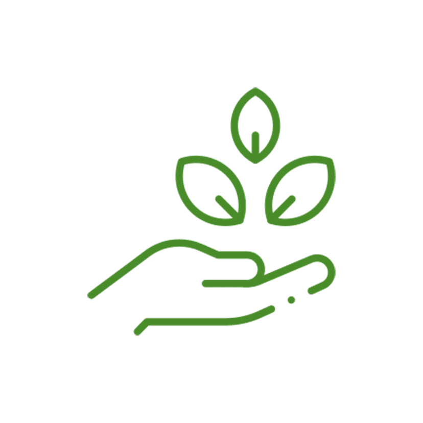 Authentic Therapies
